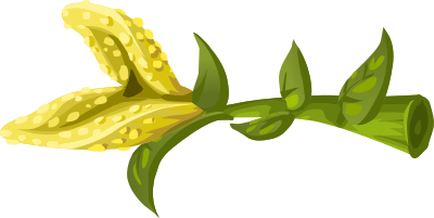 Herbs Yellow Crumb Flower clipart