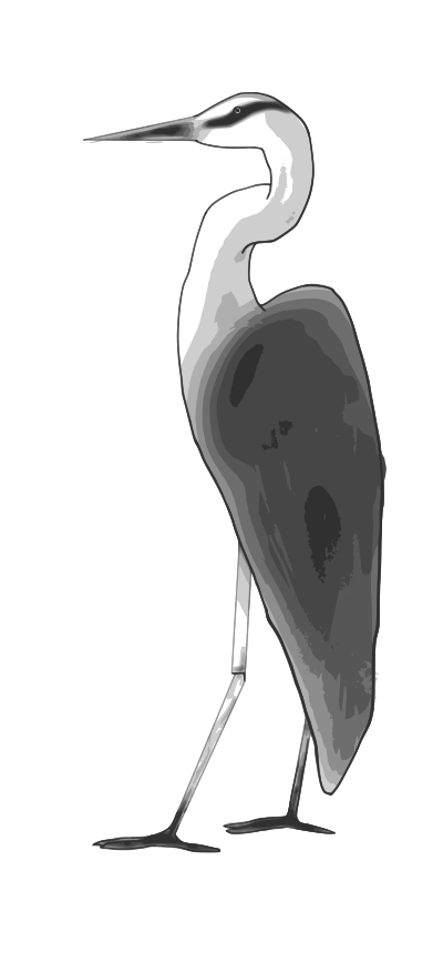 Heron clipart