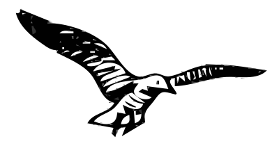 Herring Gulls 3 clipart