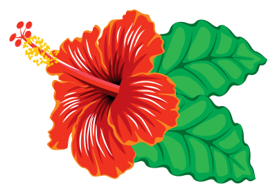 Hibiscus clipart