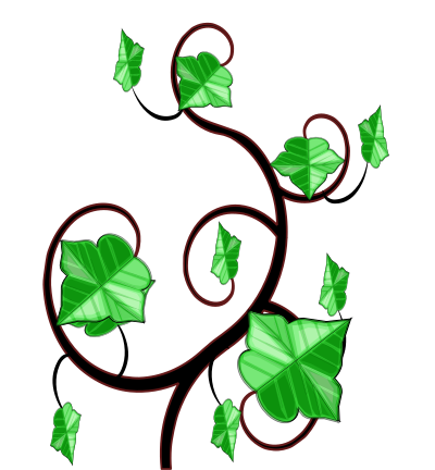 Hiedra clipart