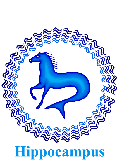 Hippocampus #dailysketch clipart