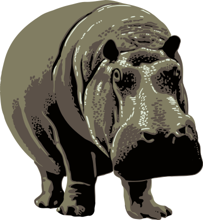 Hippopotamus clipart