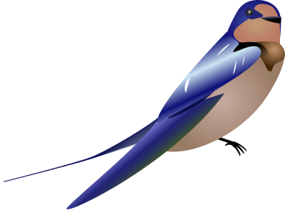 Hirundo clipart