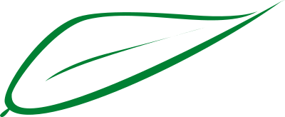Hoja / Leaf clipart