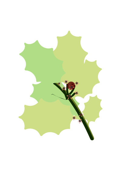 Holly branch 3 clipart
