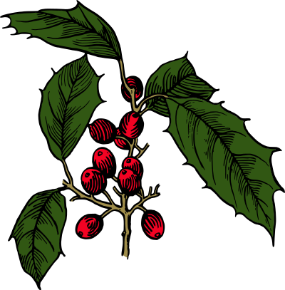 Holly (colour) clipart