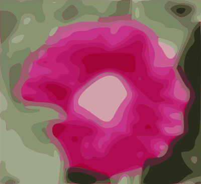 Hollyhock clipart