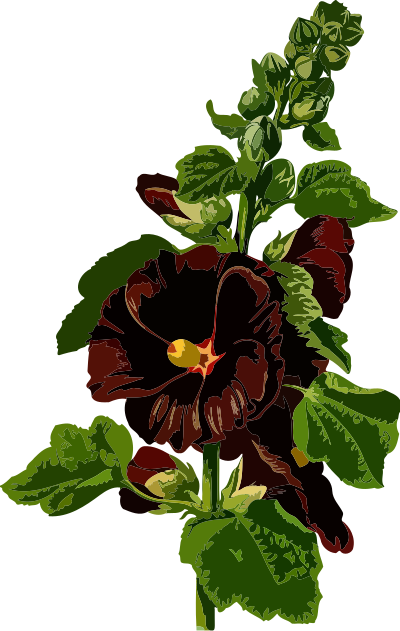 Hollyhock (low resolution) clipart