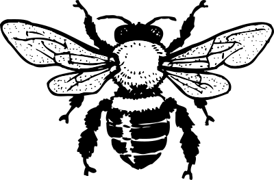 Honey bee clipart
