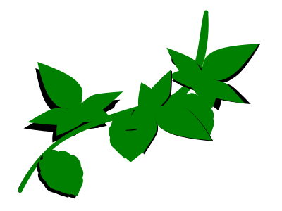 Hops - illustrated clipart