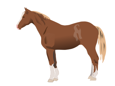 Horse clipart