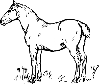Horse clipart