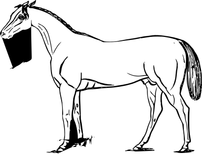 Horse 3 clipart