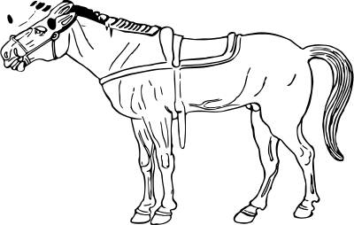 Horse 6 clipart