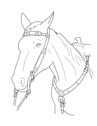 Horse Chest Plate clipart