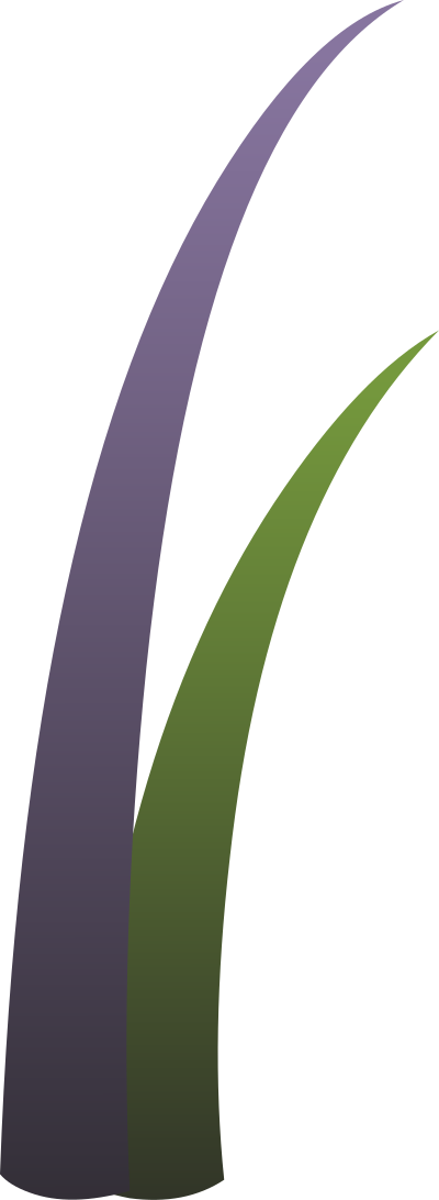 Ilmenskie Plant Grass 3 clipart