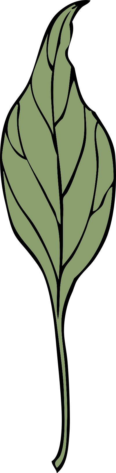 Ivy leaf 4 clipart