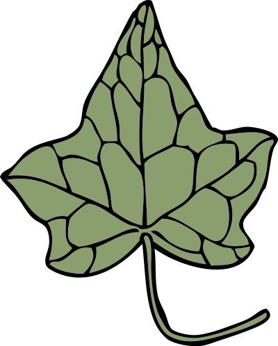 Ivy leaf 5 clipart