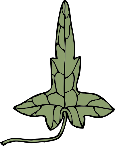 Ivy leaf 8 clipart
