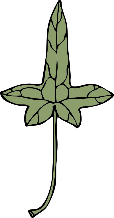 Ivy leaf 9 clipart