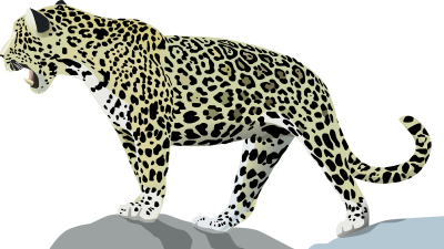 Jaguar clipart