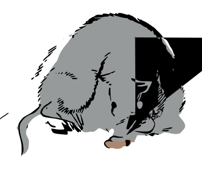 Japanese rat clipart