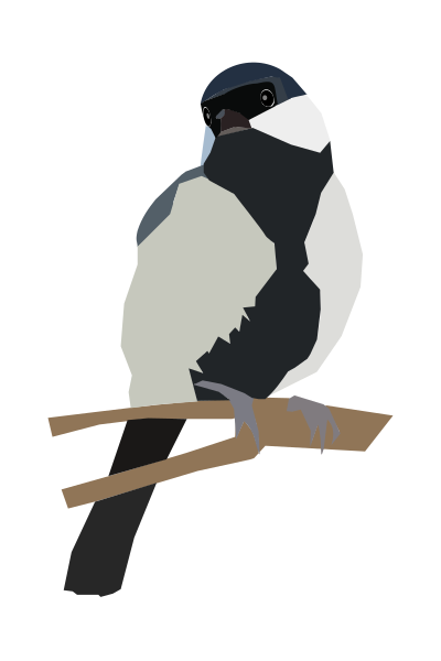 Japanese Tit on a twig clipart