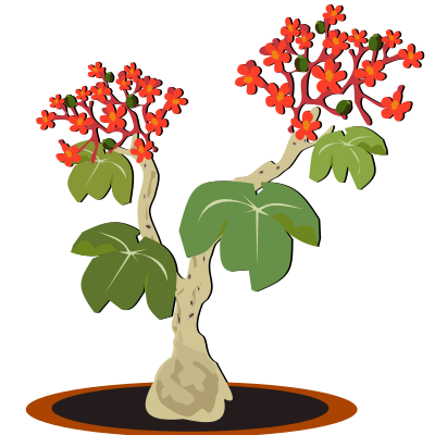 Jatropha clipart