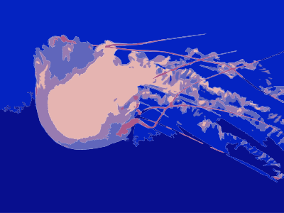 Jellyfish 02 clipart