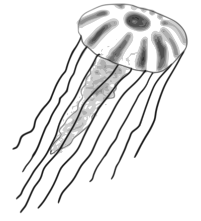 Jellyfish clipart