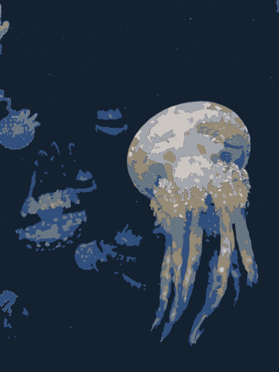 Jellyfish clipart