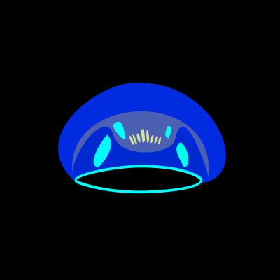 Jellyfish at night clipart