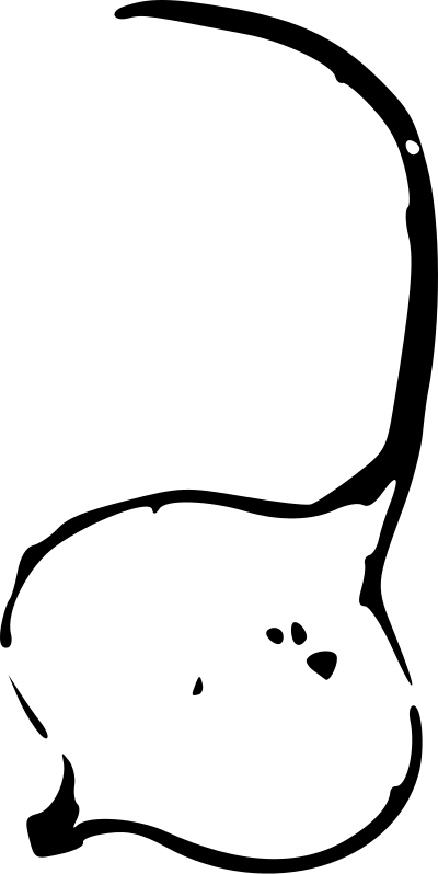 Jicama clipart