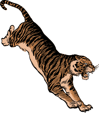Jumping Tiger - Colour Remix clipart