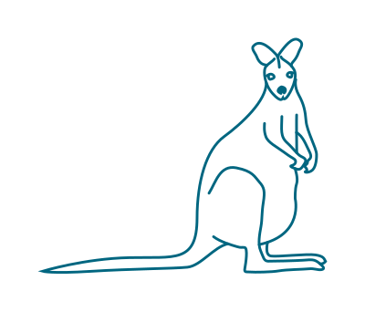 Kangaroo clipart