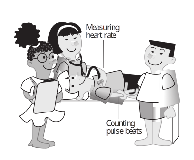 Kids measuring heart rate clipart