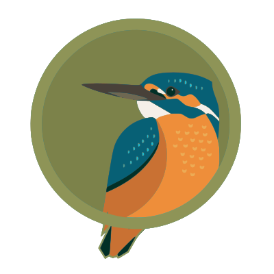 Kingfisher clipart
