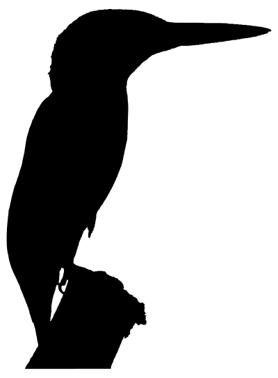 Kingfisher Silhouette clipart