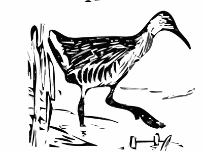 Kingrail 1 clipart