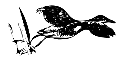 Kingrail 3 clipart