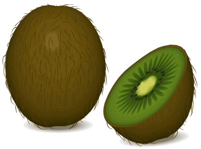 Kiwi fruit clipart