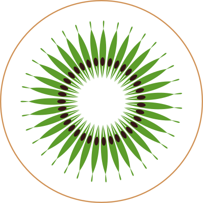 Kiwi slice by Rones clipart