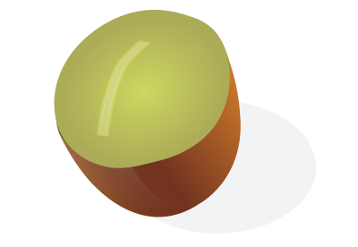 Kiwifruit - Remix clipart