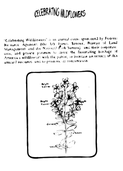Klamath Weed Coloring Guide clipart