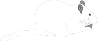 Klara clipart