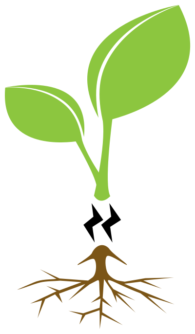 Kluit clipart