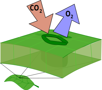 Klyvöppning clipart