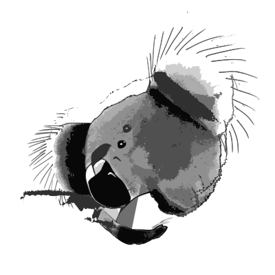 Koala clipart
