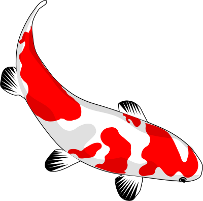 Koi clipart